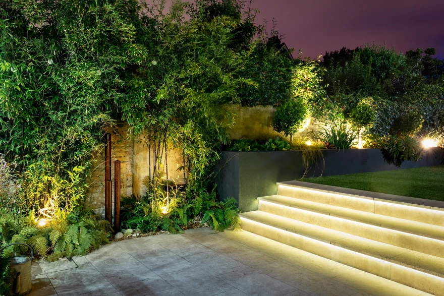 United Vision garden image 2