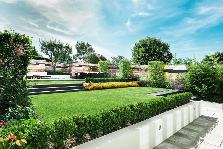 Succession garden image 2