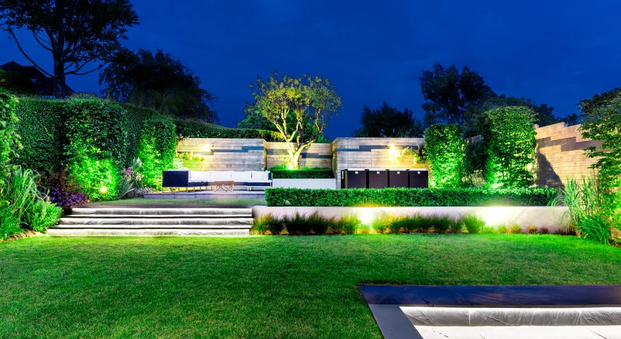 Succession garden image 3