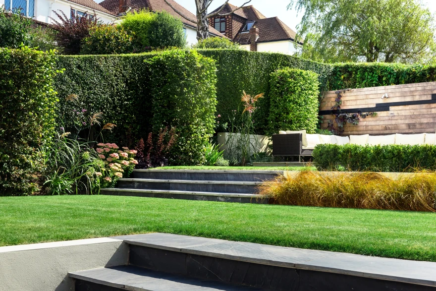 Succession garden image 4
