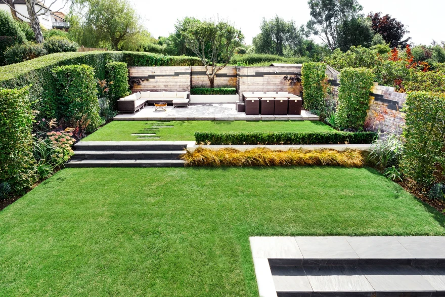 Succession garden image 6