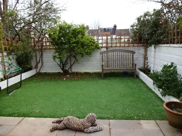 Garden before image