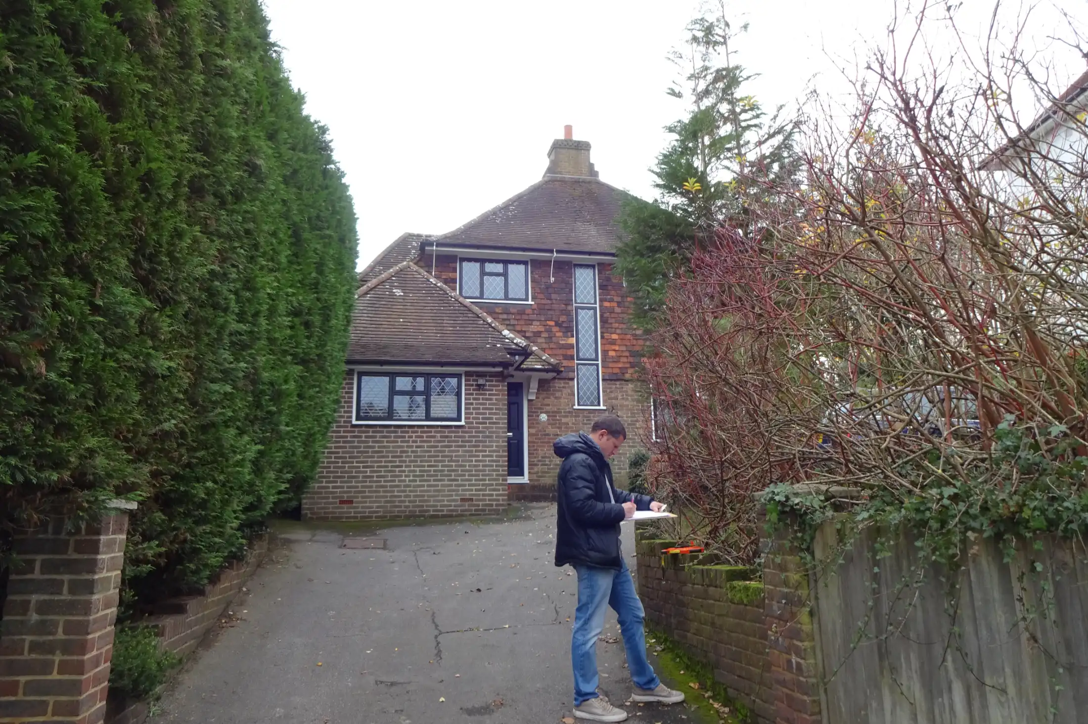 Garden before image